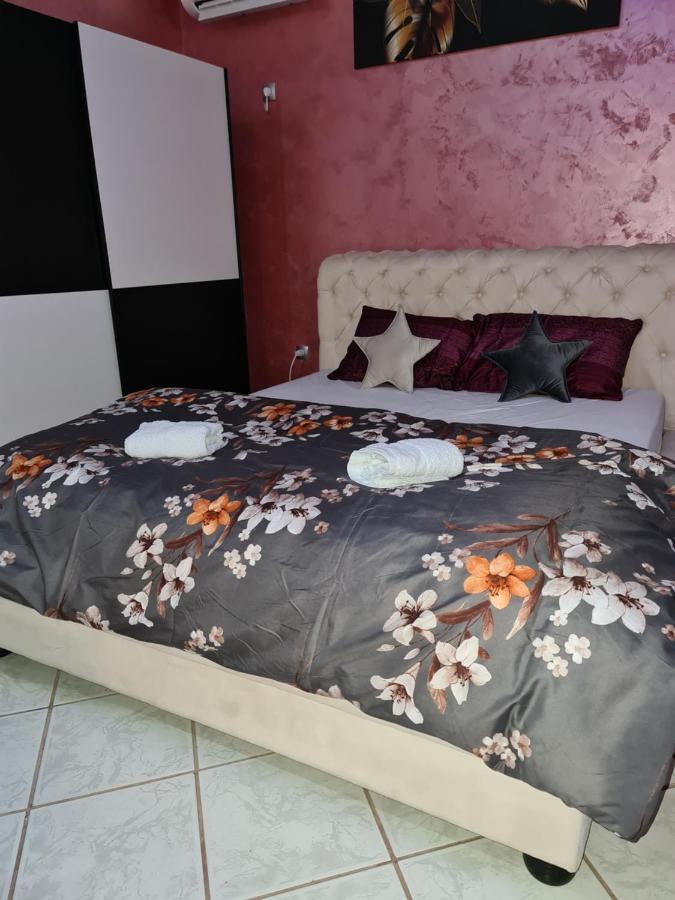 Apartman -Harmony- Paraćin Exteriör bild