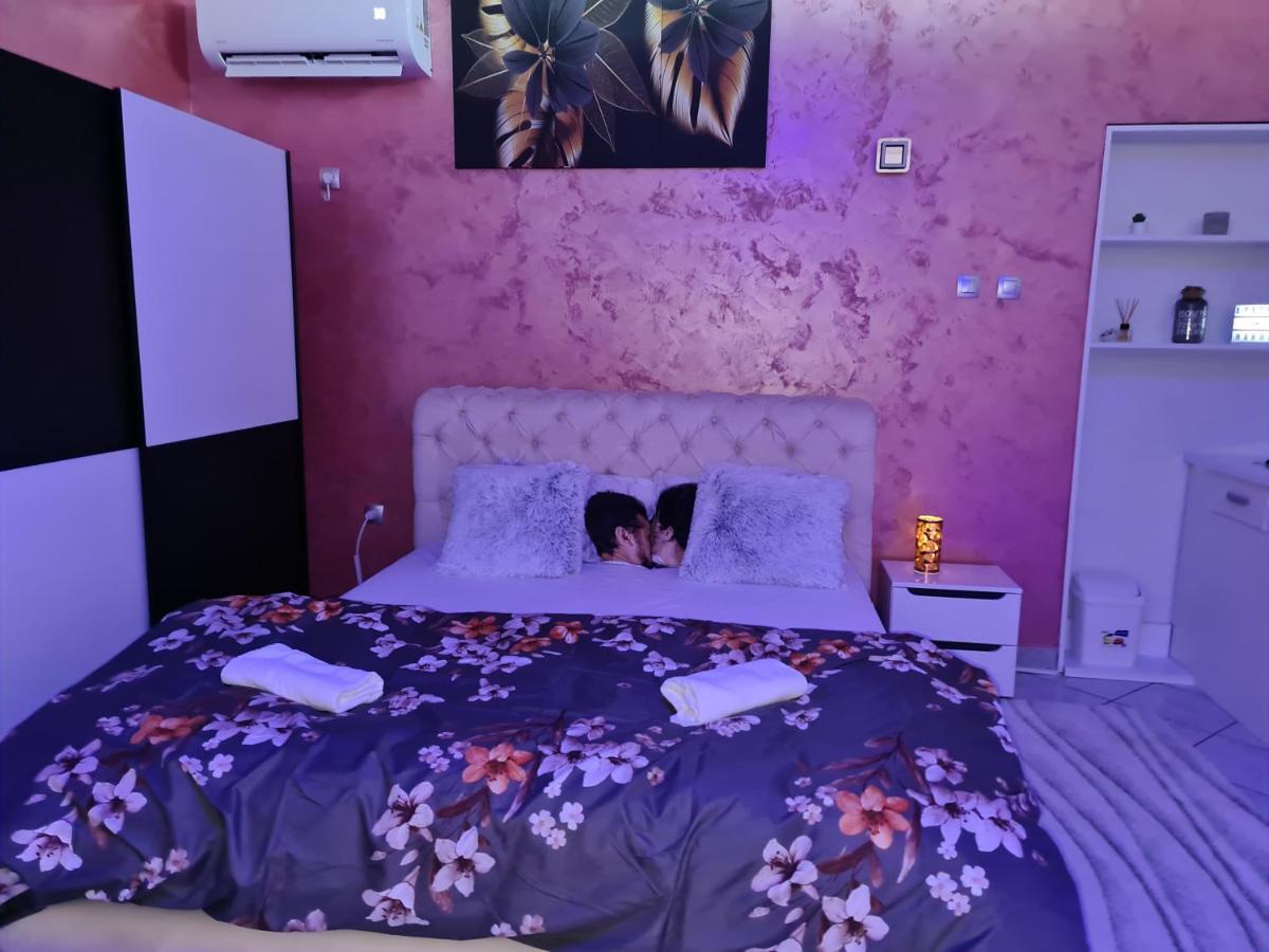 Apartman -Harmony- Paraćin Exteriör bild