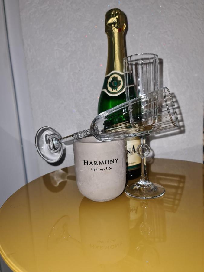 Apartman -Harmony- Paraćin Exteriör bild